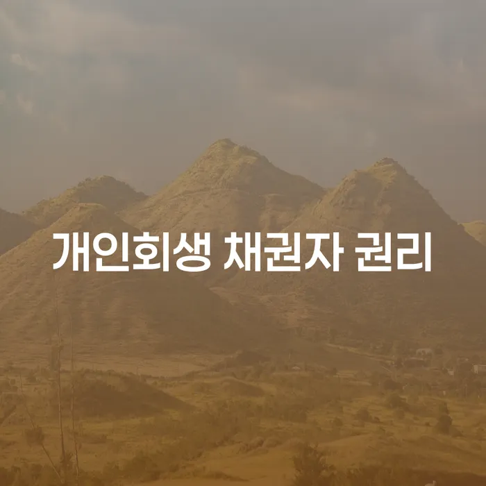 개인회생 채권자 권리: 채권자로서 당신이 알아야 할 모든 것